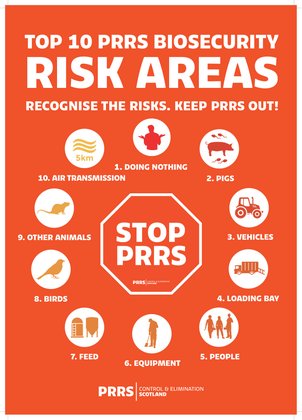 Top 10 risk areas poster